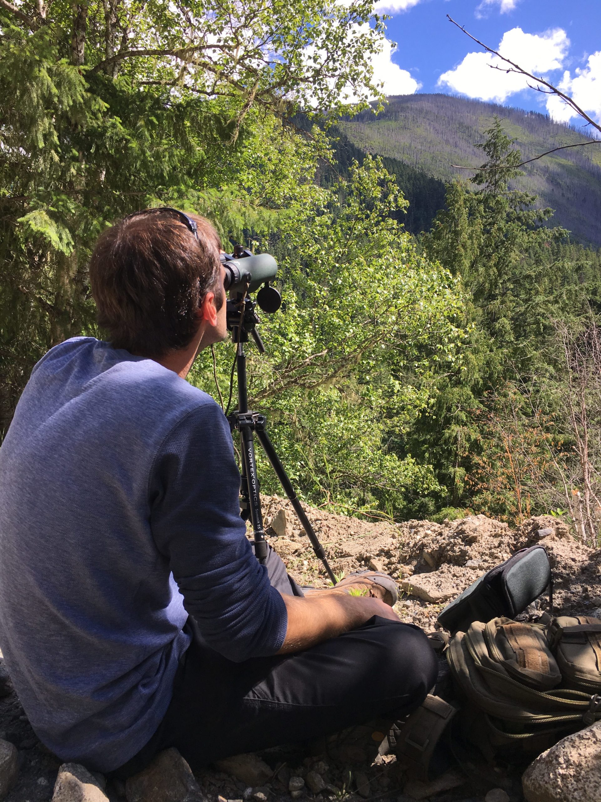 Spring Bear Behavior and Hunting Strategy Pursuit with Cliff