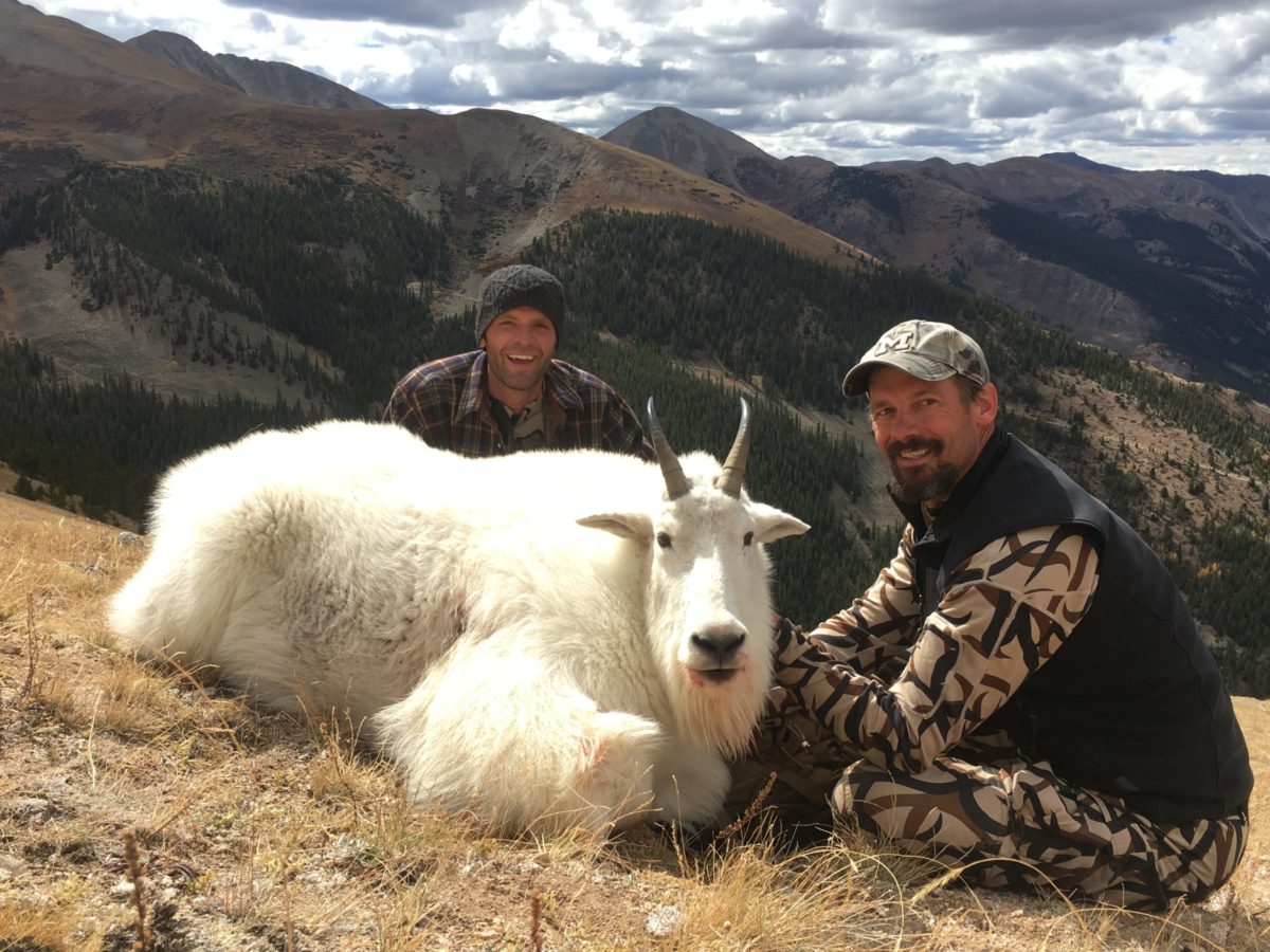 Mountain Goat Behavior and Hunting Strategy
