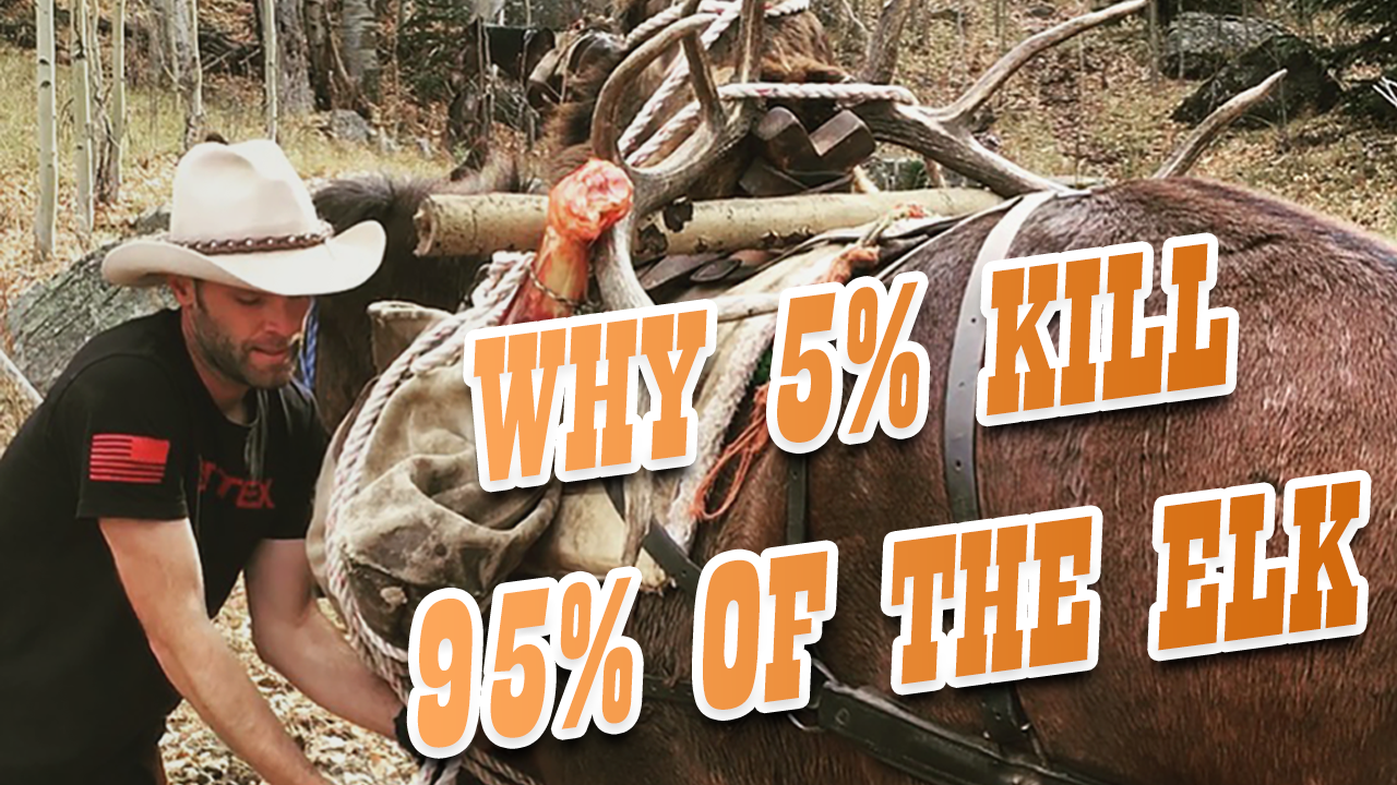 5% of Public Land Hunters Harvest 95% of the Bulls – Here’s Why!