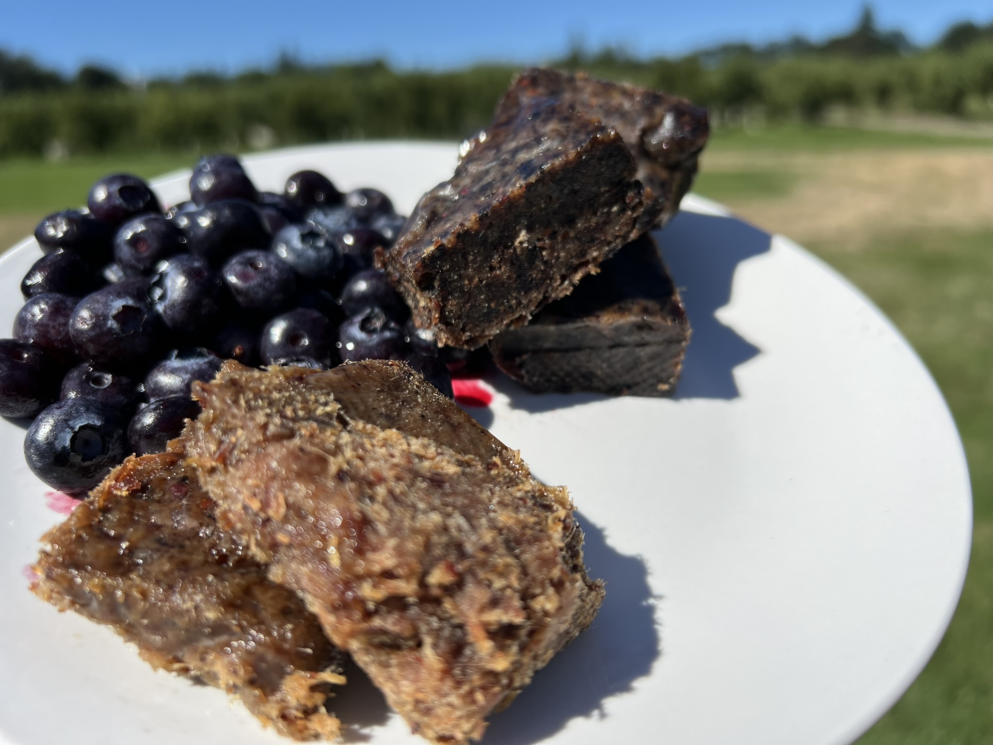 Pemmican Process and Recipe